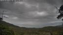 ./images/calvert/fitz-hugh-hecate/20250530/fitz-hugh-hecate20250530_183011M.jpg