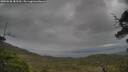 ./images/calvert/fitz-hugh-hecate/20250530/fitz-hugh-hecate20250530_183510M.jpg
