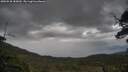 ./images/calvert/fitz-hugh-hecate/20250530/fitz-hugh-hecate20250530_185010M.jpg