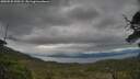 ./images/calvert/fitz-hugh-hecate/20250530/fitz-hugh-hecate20250530_190508M.jpg