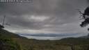 ./images/calvert/fitz-hugh-hecate/20250530/fitz-hugh-hecate20250530_194508M.jpg
