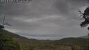 ./images/calvert/fitz-hugh-hecate/20250530/fitz-hugh-hecate20250530_195009M.jpg