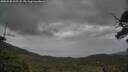 ./images/calvert/fitz-hugh-hecate/20250530/fitz-hugh-hecate20250530_195508M.jpg