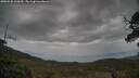 ./images/calvert/fitz-hugh-hecate/20250530/fitz-hugh-hecate20250530_200010M.jpg