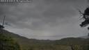 ./images/calvert/fitz-hugh-hecate/20250530/fitz-hugh-hecate20250530_200508M.jpg