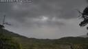 ./images/calvert/fitz-hugh-hecate/20250530/fitz-hugh-hecate20250530_202007M.jpg