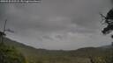 ./images/calvert/fitz-hugh-hecate/20250530/fitz-hugh-hecate20250530_202508M.jpg