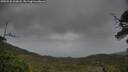 ./images/calvert/fitz-hugh-hecate/20250530/fitz-hugh-hecate20250530_203008M.jpg