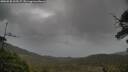 ./images/calvert/fitz-hugh-hecate/20250530/fitz-hugh-hecate20250530_203506M.jpg
