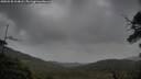 ./images/calvert/fitz-hugh-hecate/20250530/fitz-hugh-hecate20250530_204008M.jpg