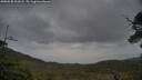 ./images/calvert/fitz-hugh-hecate/20250530/fitz-hugh-hecate20250530_205008M.jpg