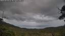 ./images/calvert/fitz-hugh-hecate/20250530/fitz-hugh-hecate20250530_205508M.jpg
