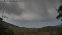 ./images/calvert/fitz-hugh-hecate/20250530/fitz-hugh-hecate20250530_210508M.jpg