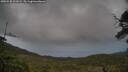 ./images/calvert/fitz-hugh-hecate/20250530/fitz-hugh-hecate20250530_211009M.jpg
