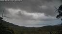 ./images/calvert/fitz-hugh-hecate/20250530/fitz-hugh-hecate20250530_211509M.jpg