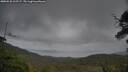 ./images/calvert/fitz-hugh-hecate/20250530/fitz-hugh-hecate20250530_212507M.jpg