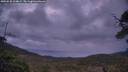 ./images/calvert/fitz-hugh-hecate/20250530/fitz-hugh-hecate20250530_214009M.jpg