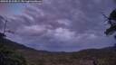 ./images/calvert/fitz-hugh-hecate/20250530/fitz-hugh-hecate20250530_215009M.jpg