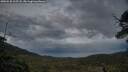 ./images/calvert/fitz-hugh-hecate/20250530/fitz-hugh-hecate20250530_215508M.jpg