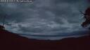 ./images/calvert/fitz-hugh-hecate/20250530/fitz-hugh-hecate20250530_222508M.jpg