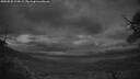 ./images/calvert/fitz-hugh-hecate/20250530/fitz-hugh-hecate20250530_223009M.jpg