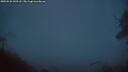 ./images/calvert/fitz-hugh-hecate/20250531/fitz-hugh-hecate20250531_043508M.jpg