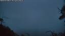 ./images/calvert/fitz-hugh-hecate/20250531/fitz-hugh-hecate20250531_044007M.jpg