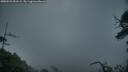 ./images/calvert/fitz-hugh-hecate/20250531/fitz-hugh-hecate20250531_051009M.jpg
