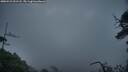 ./images/calvert/fitz-hugh-hecate/20250531/fitz-hugh-hecate20250531_051508M.jpg