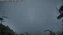 ./images/calvert/fitz-hugh-hecate/20250531/fitz-hugh-hecate20250531_052508M.jpg