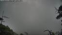 ./images/calvert/fitz-hugh-hecate/20250531/fitz-hugh-hecate20250531_053008M.jpg