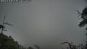 ./images/calvert/fitz-hugh-hecate/20250531/fitz-hugh-hecate20250531_054007M.jpg