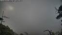 ./images/calvert/fitz-hugh-hecate/20250531/fitz-hugh-hecate20250531_054508M.jpg