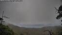 ./images/calvert/fitz-hugh-hecate/20250531/fitz-hugh-hecate20250531_060010M.jpg