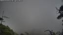 ./images/calvert/fitz-hugh-hecate/20250531/fitz-hugh-hecate20250531_061508M.jpg