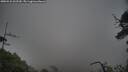 ./images/calvert/fitz-hugh-hecate/20250531/fitz-hugh-hecate20250531_062510M.jpg