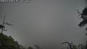 ./images/calvert/fitz-hugh-hecate/20250531/fitz-hugh-hecate20250531_063008M.jpg