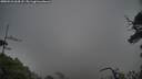 ./images/calvert/fitz-hugh-hecate/20250531/fitz-hugh-hecate20250531_064508M.jpg