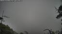 ./images/calvert/fitz-hugh-hecate/20250531/fitz-hugh-hecate20250531_065010M.jpg