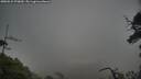 ./images/calvert/fitz-hugh-hecate/20250531/fitz-hugh-hecate20250531_070010M.jpg