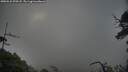 ./images/calvert/fitz-hugh-hecate/20250531/fitz-hugh-hecate20250531_070507M.jpg