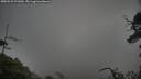 ./images/calvert/fitz-hugh-hecate/20250531/fitz-hugh-hecate20250531_071010M.jpg