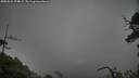 ./images/calvert/fitz-hugh-hecate/20250531/fitz-hugh-hecate20250531_074009M.jpg