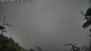 ./images/calvert/fitz-hugh-hecate/20250531/fitz-hugh-hecate20250531_075008M.jpg