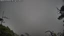 ./images/calvert/fitz-hugh-hecate/20250531/fitz-hugh-hecate20250531_075509M.jpg