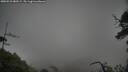 ./images/calvert/fitz-hugh-hecate/20250531/fitz-hugh-hecate20250531_080509M.jpg