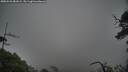 ./images/calvert/fitz-hugh-hecate/20250531/fitz-hugh-hecate20250531_081009M.jpg