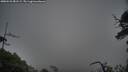 ./images/calvert/fitz-hugh-hecate/20250531/fitz-hugh-hecate20250531_081508M.jpg