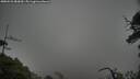 ./images/calvert/fitz-hugh-hecate/20250531/fitz-hugh-hecate20250531_082010M.jpg
