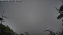 ./images/calvert/fitz-hugh-hecate/20250531/fitz-hugh-hecate20250531_083011M.jpg